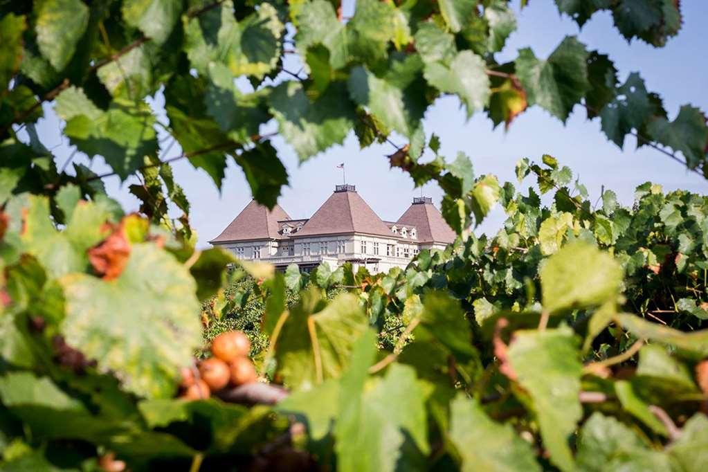 Chateau Elan Winery Braselton Kültér fotó