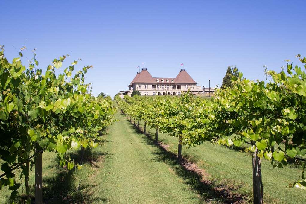 Chateau Elan Winery Braselton Kültér fotó